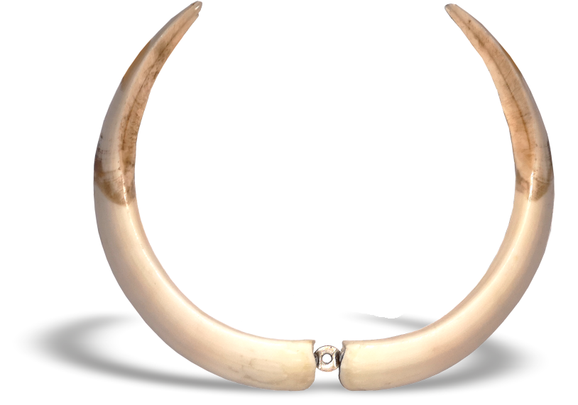 Keilerwaffen mit Montagebügel Keilerwaffen mit Montagebügel