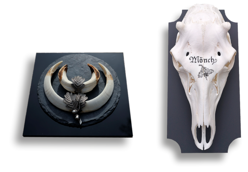 Keiler & "Mönch" Kellerwaffen und Mönchs-Hirsch auf Acrylglas