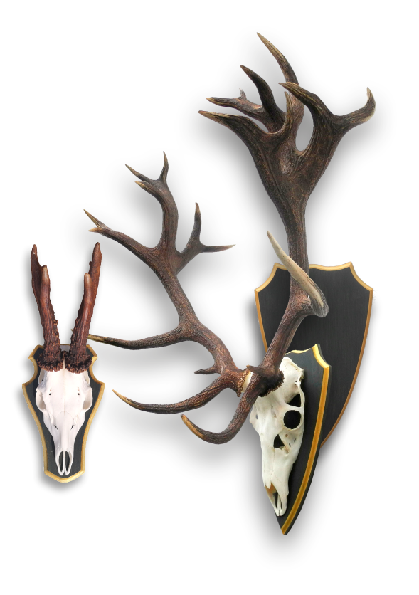 Individuelle, grüne Bretter mit Goldrand Grüne Bretter mit Goldrand