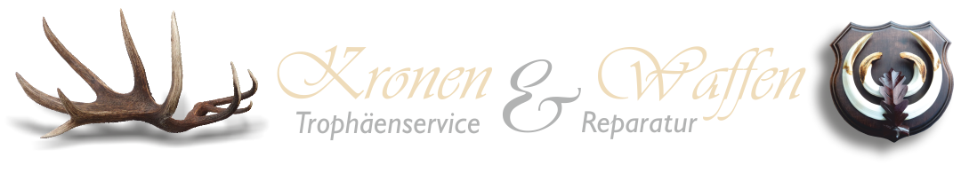 Wandfertige Präparation