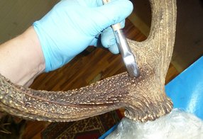 Einfärben der Stangen