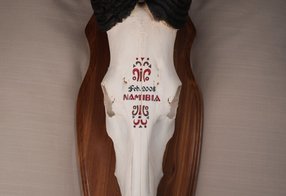 Hartebeest aus Namibia