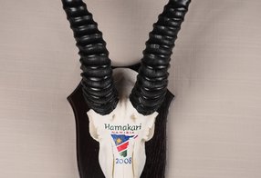 Gazelle von der Jagdfarm Hamakari