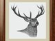 Beistiftzeichnung eines Hirsches