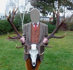 Hirsch nach der Überarbeitung Alter Hirsch nachher