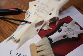 Vollendete Vorzeichnung