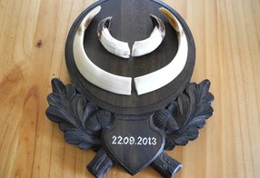 Fertige Reparatur mit beschriftetem Wappenschild