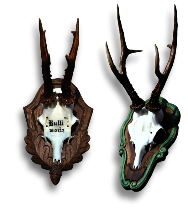 Zwei Rehböcke auf Schmuckbrettern Zwei Rehböcke auf Schmuckbrettern