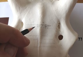 Vorzeichnung der Beschriftung