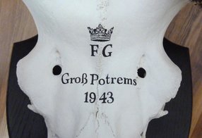 Restaurierter Hirsch