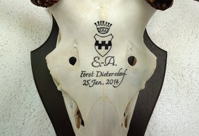 Hirsch mit individueller Beschriftung