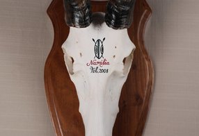 Blessbock mit afrikanischen Emblemen