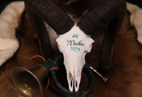 Muffelwidder aus Wacken