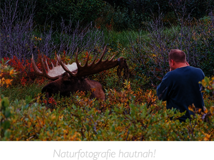 Helge Schulz vor einem Elch