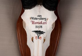 Oryx von der Jagdfarm Hamakari, Namibia