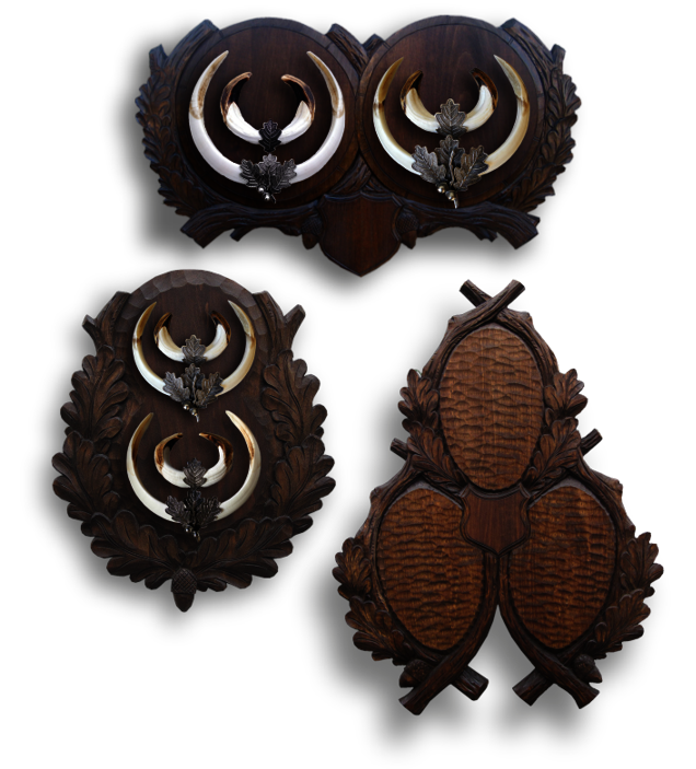 Mehrfach Keilerbretter Trophäenbretter für 2 und 3 Keilerwaffen