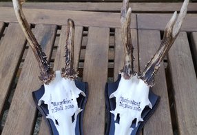 Klassisch beschriftete Böcke