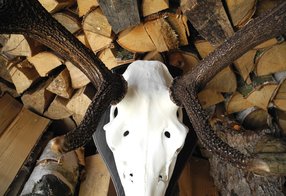 Stangen fertig gefärbt