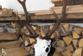 Fertige Trophäe nach Überarbeitung