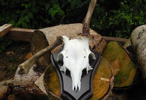 Pendelstange ist montiert und eingefärbt