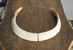 Gewehre sind beidseitig verlängert