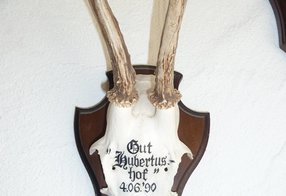 Rehbock mit klassischer Beschriftung