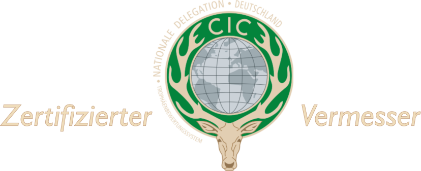 CIC Logo